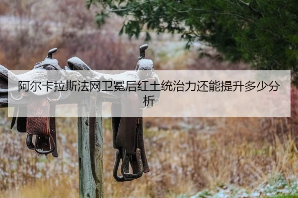 a-er-ka-la-si-fa-wang-wei-mian-hou-hong-tu-tong-zhi-li-hai-neng-ti-sheng-duo-shao-fen-xi-2-839.jpg