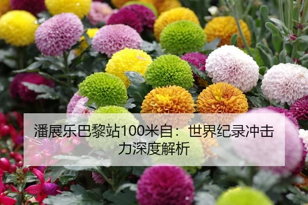 潘展乐巴黎站100米自：世界纪录冲击力深度解析
