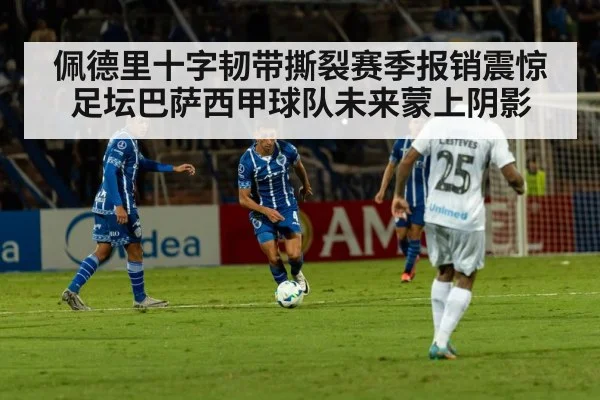 佩德里十字韧带撕裂赛季报销震惊足坛巴萨西甲球队未来蒙上阴影