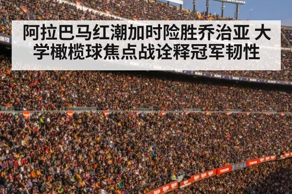 football stadium crowd